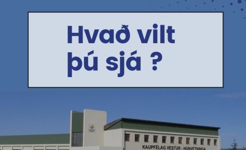 Frábærar undirtektir vegna gluggamála