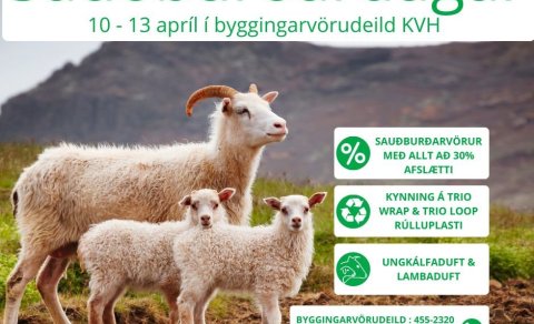 Sauðburðardagar í KVH 10-13.apríl